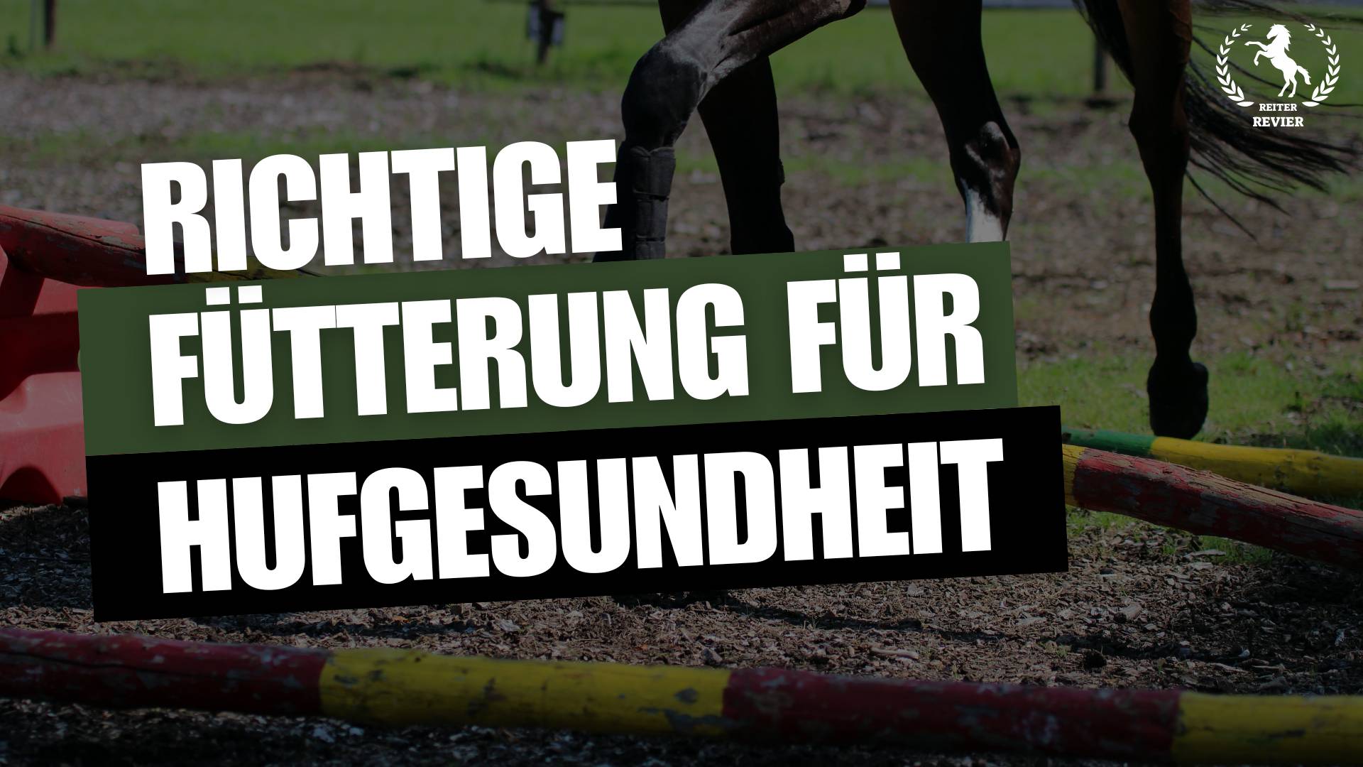Hufgesundheit erhöhen: Die Bedeutung der richtigen Pferdefütterung