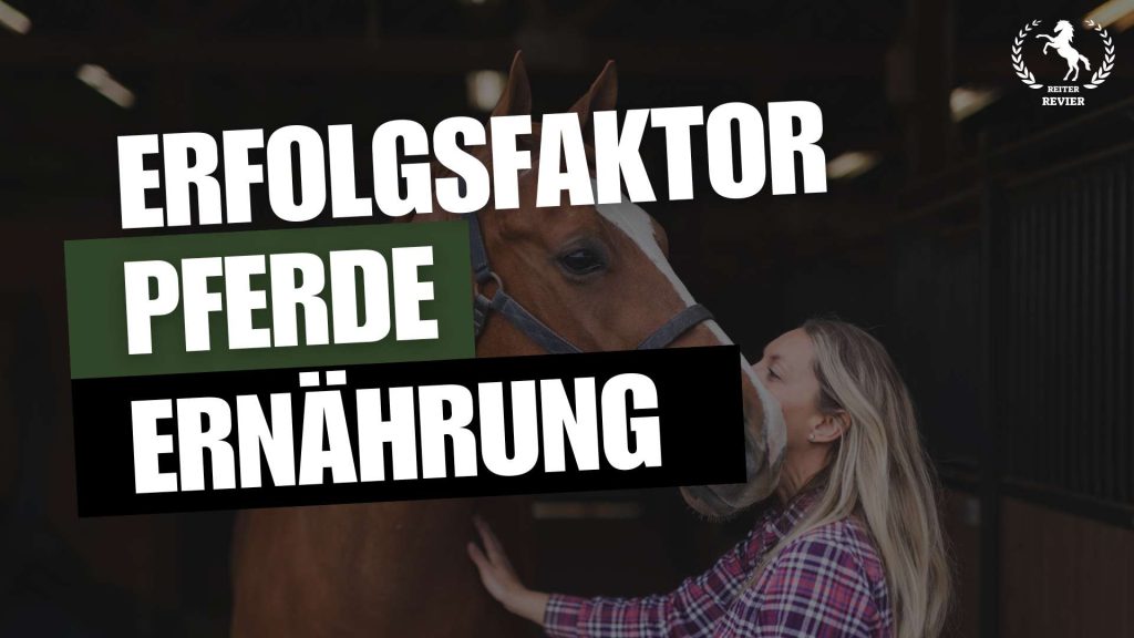 pferdeergaenzungsfuttermittel