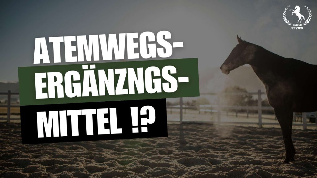 atemwegsergänzungsmittel für pferde