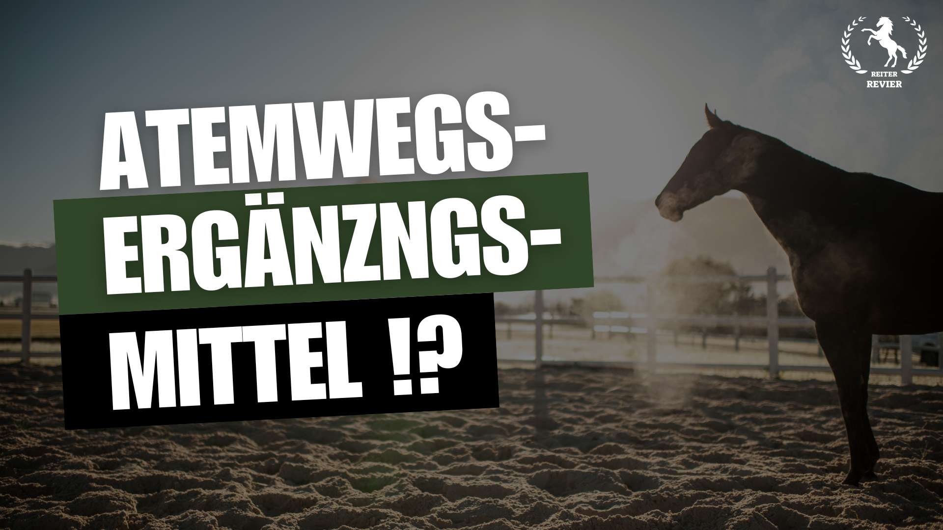 atemwegsergänzungsmittel für pferde