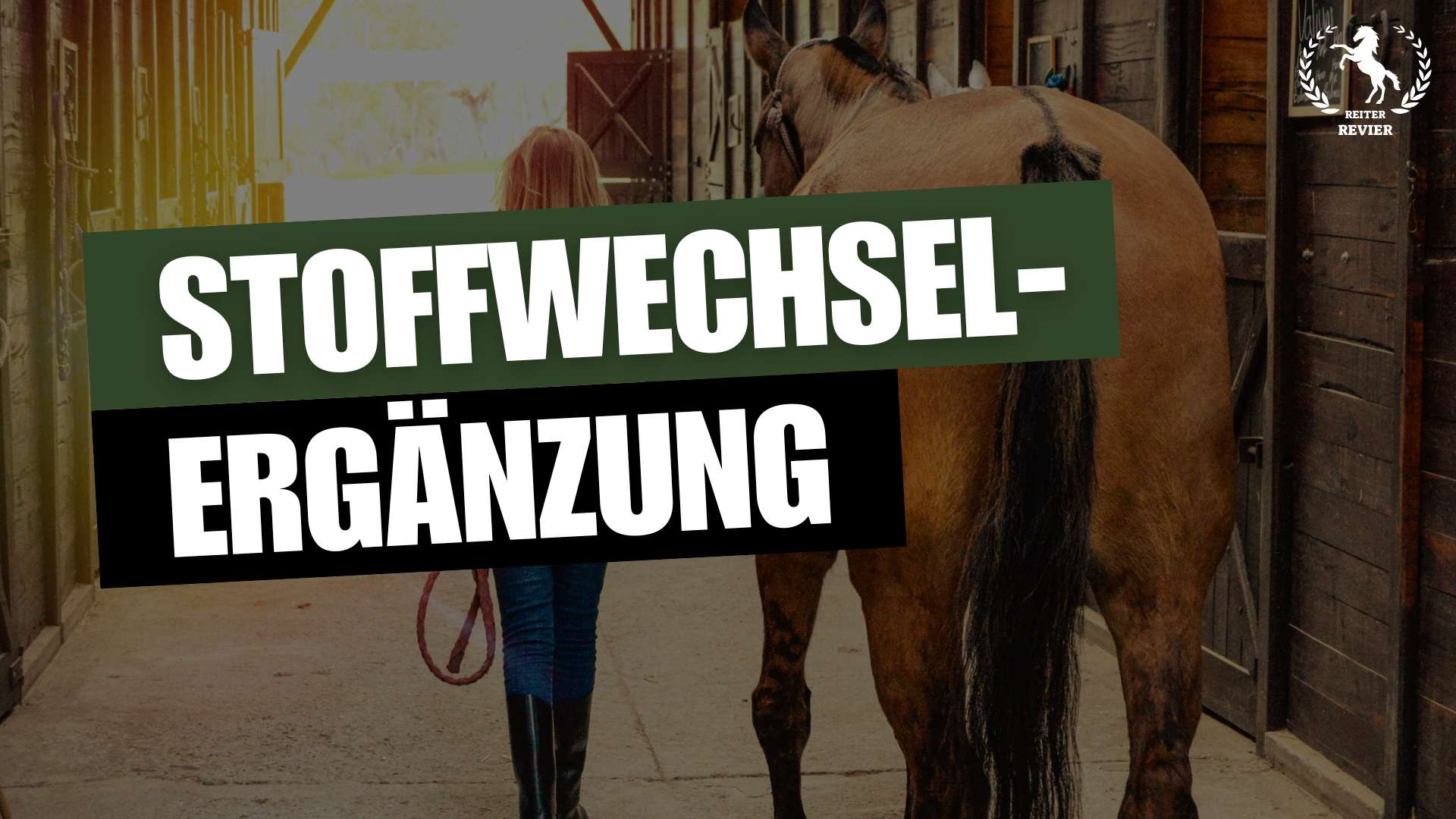stoffwechselergänzungsmittel für pferde