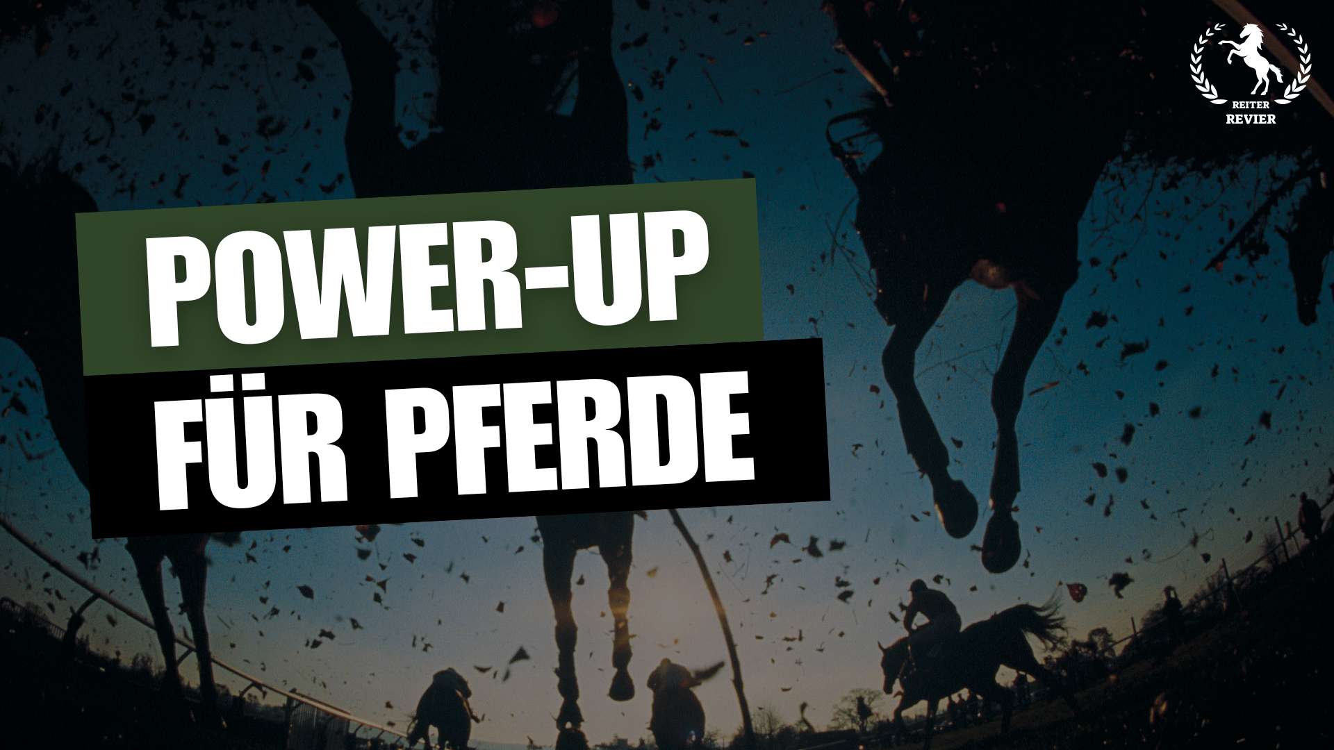 leistungsfördernde nahrungsergänzungsmittel für pferde