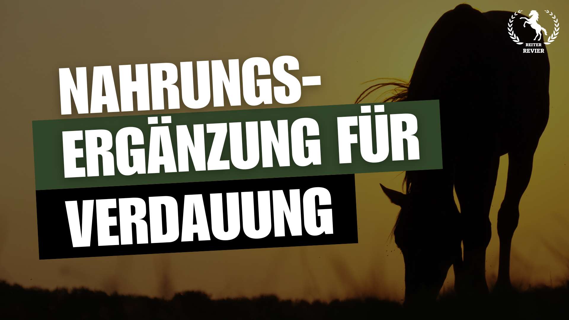 verdauungsfördernde ergänzungsmittel für pferde